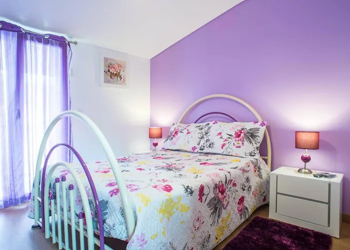 Charming House In Boa Vista With Private Pool